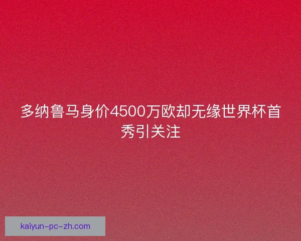多纳鲁马身价4500万欧却无缘世界杯首秀引关注
